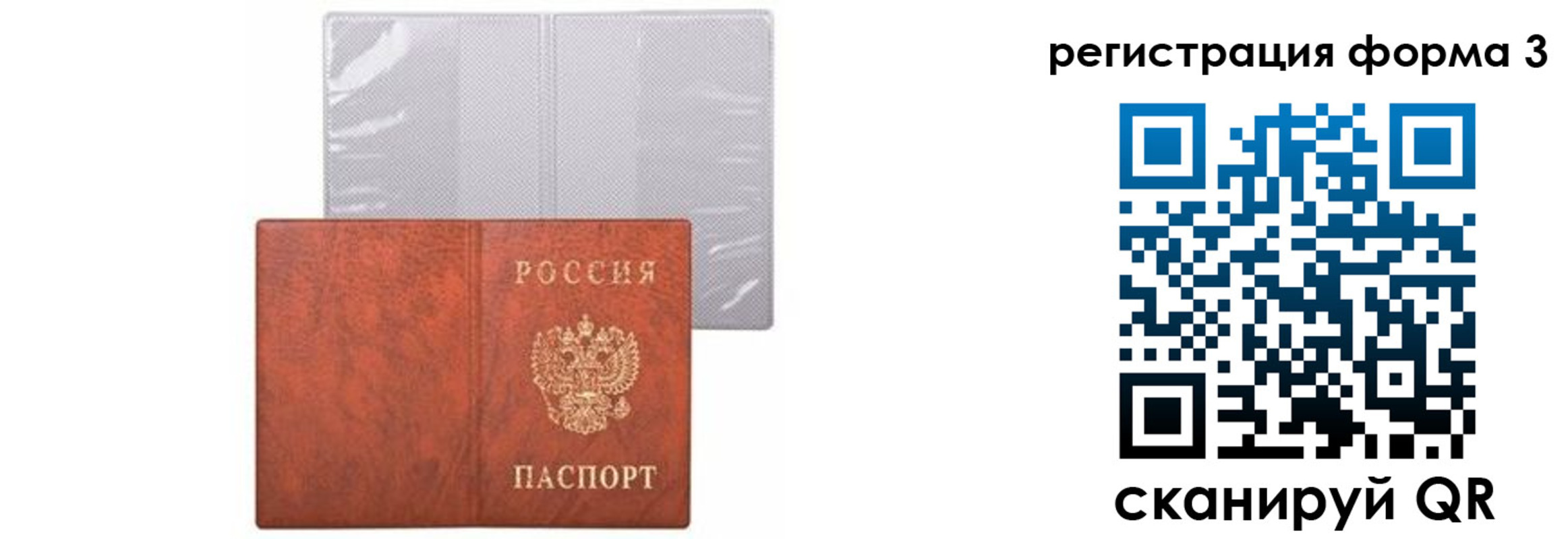 прописка 2025 в Купино